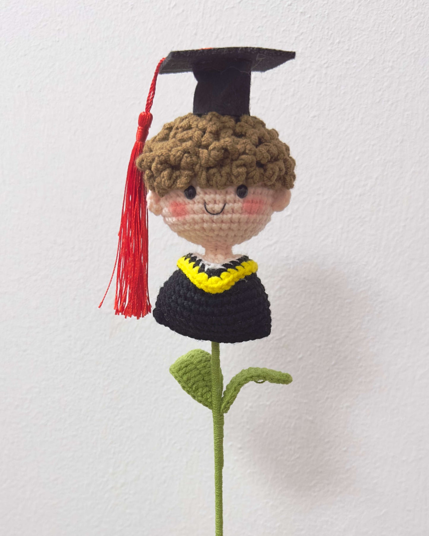 Yarn doll paired male perfect for graduation