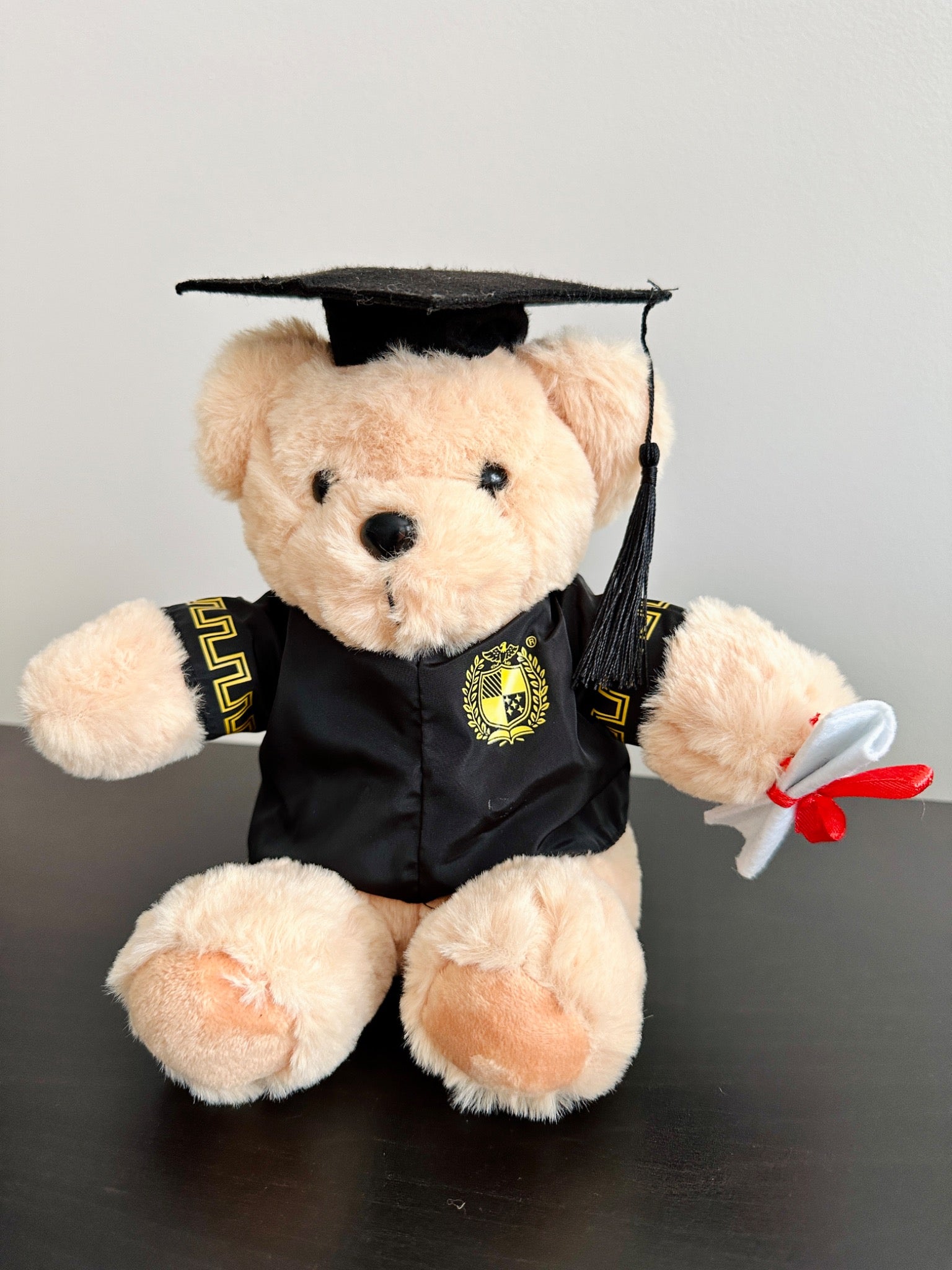 graduation teddy