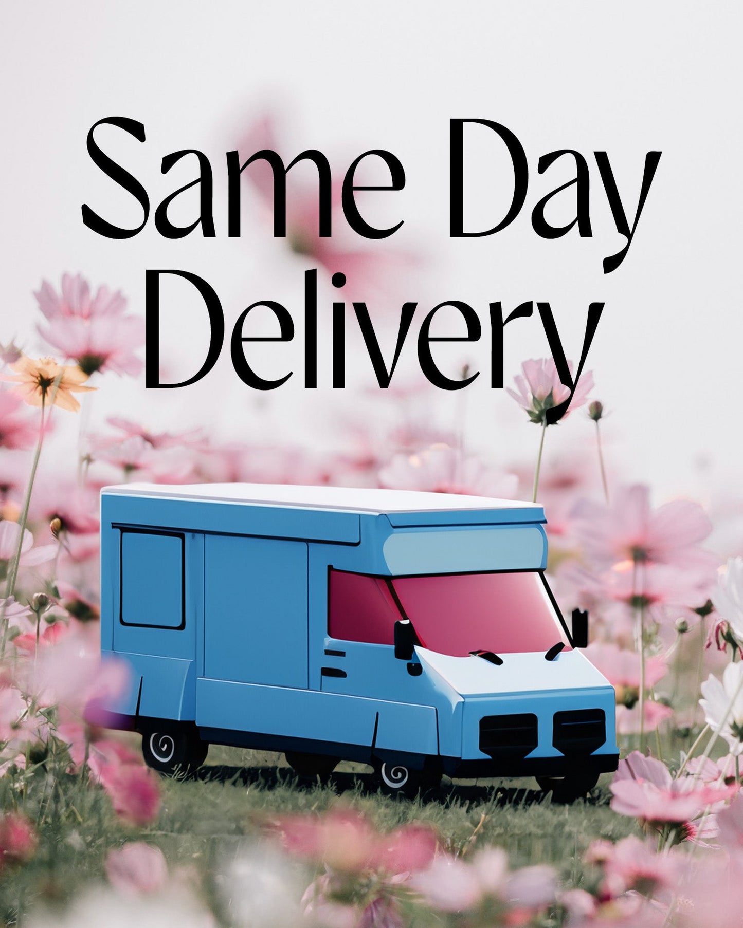 same day delivery image