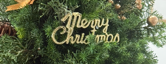 🎄 5 Cozy Things to Do in Singapore This Christmas (2025 Edition)