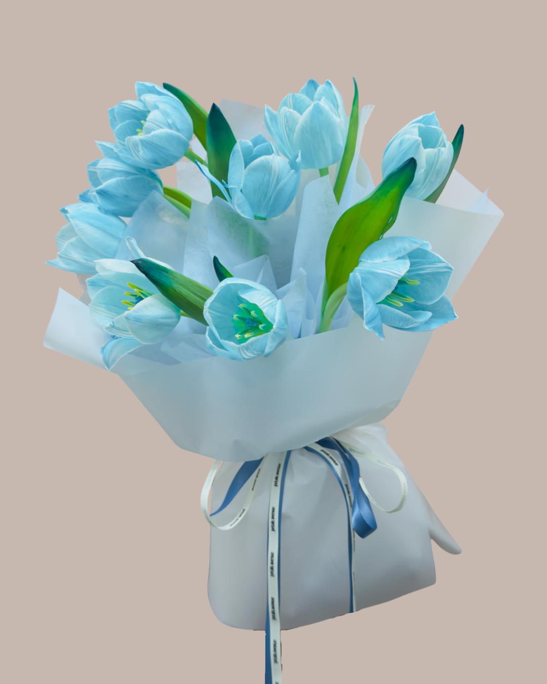 Bouquet of blue tulips wrapped in white paper with a blue ribbon on a beige background