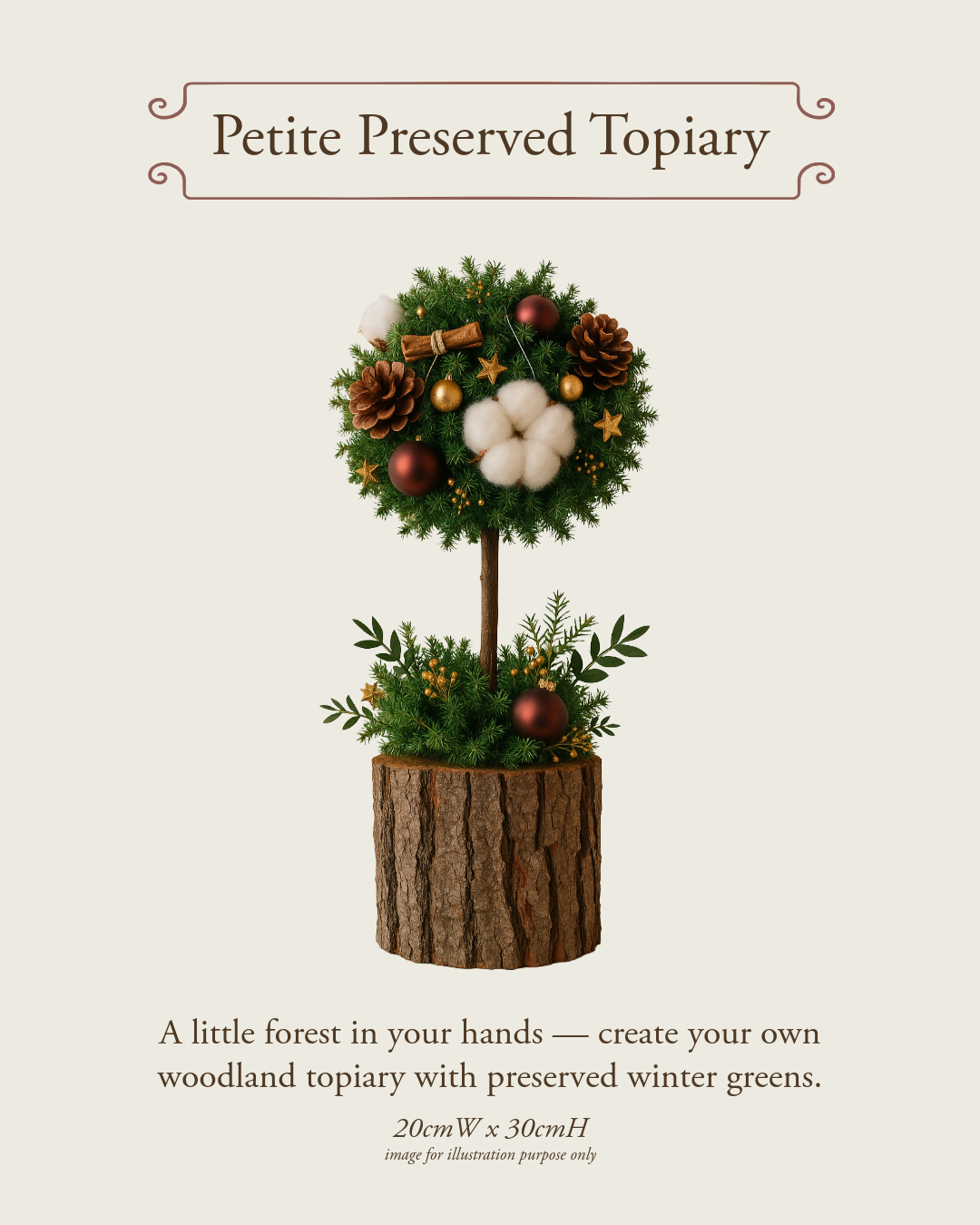 Petite Preserved Topiary Workshop
