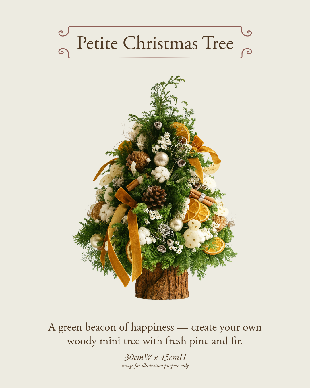 Petite Christmas Tree Workshop