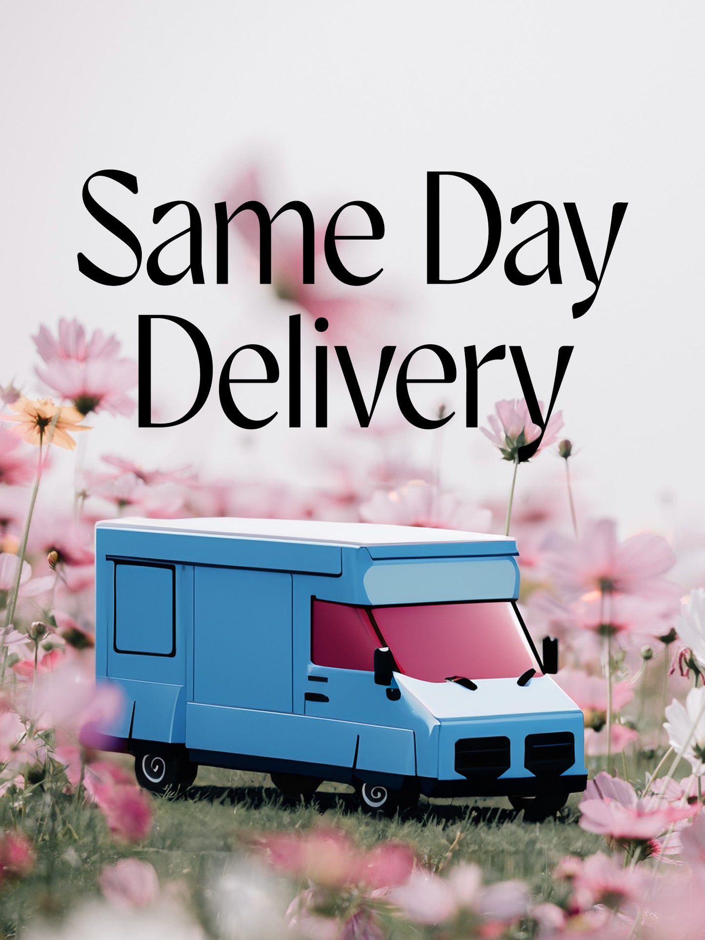 Same Day Delivery